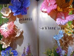 -野象谷景区