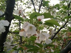 -白马涧龙池景区