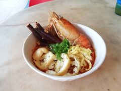 big&nbsp;prawn&nbsp;laksa-新记肉骨茶