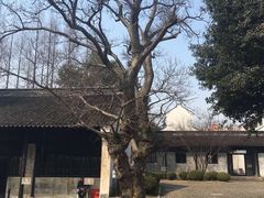 -上海市龙华烈士陵园