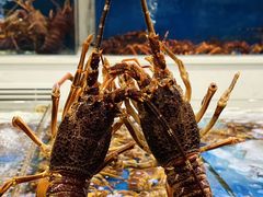 -北塘海鲜·天津菜(大光明桥旗舰店)