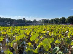 -姚记炒肝店(鼓楼店)