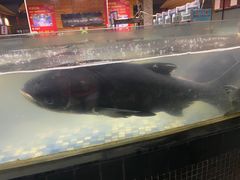 -森谷美食公园(杨行店)