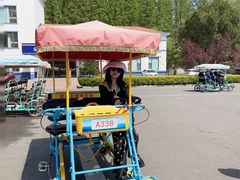 -日照海滨国家森林公园