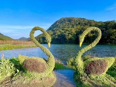 -广州市石门国家森林公园