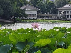 -荔湾湖公园