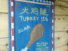 -迪士尼火鸡腿