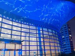 -上海跨国采购会展中心