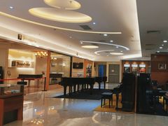 -知音艺术教育培训·钢琴培训·音乐培训(河西金鹰世界校区)