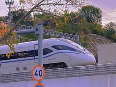 -白石龙音乐公园