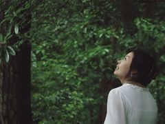 -天目山大树王景区