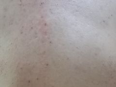 -浴神宫(四惠店)