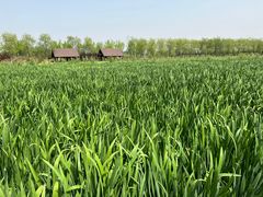 -永定河休闲森林公园