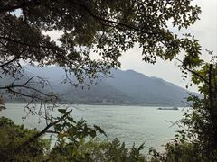-羚羊峡古栈道森林公园