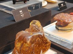 -烟台自然博物馆