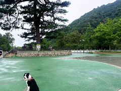 -秦岭终南山世界地质公园翠华山景区