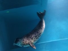 -青岛海底世界-水族馆