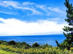 -南紀白浜 浜千鳥の湯 海舟