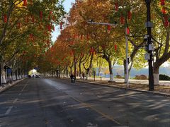 -泰州凤城河风景区-泰山公园