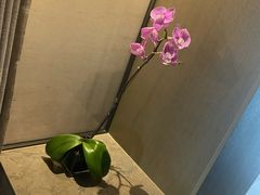 -北京三里屯CHAO酒店