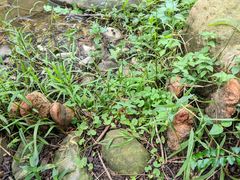 -人民公园(罗湖区)