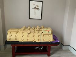 -宝生月子中心·独栋独院式(南山店)