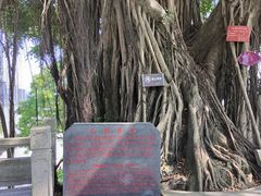 -船政文化景区-罗星塔公园