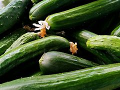 -九龙里集市(六安里店)