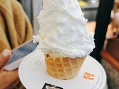 -野人先生Gelato(上海长宁龙之梦店)