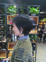 -藤野造型