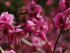 -江南大学(蠡湖校区)