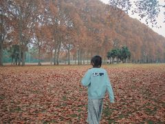 -河南省黄河迎宾馆