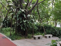 -南宁南湖公园