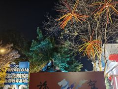 -成飞公园