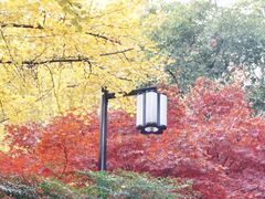 -岳麓山风景名胜区