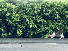 -南丰汇(新港东路店)