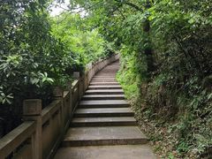 -杭州半山国家森林公园