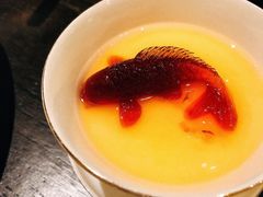 -甄御•海鲜新青岛菜(麦岛店)