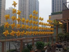 -瑞虹新天地月亮湾