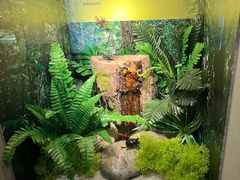 -湖南省地质博物馆