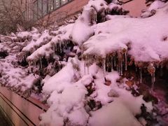 -爱月宝月嫂·育儿嫂(哈尔滨总店)