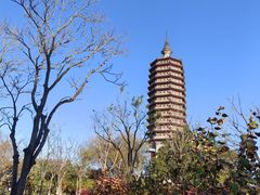 -西海子公园
