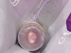 -GANSO  元祖食品(金渝大道店)