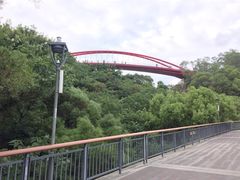 -金鸡山公园