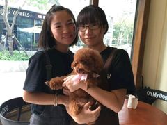 -Oh My Dog宠物沙龙(伊珊娜皮毛护理店)
