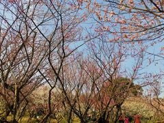 -无锡梅园公园