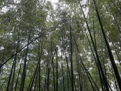 -达蓬山旅游度假区