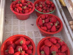 -中央戏剧学院(昌平校区)