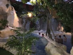 -中铁花水湾温泉酒店(大邑店)