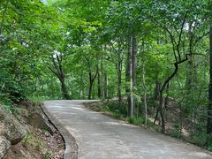 -波尔登森林公园
